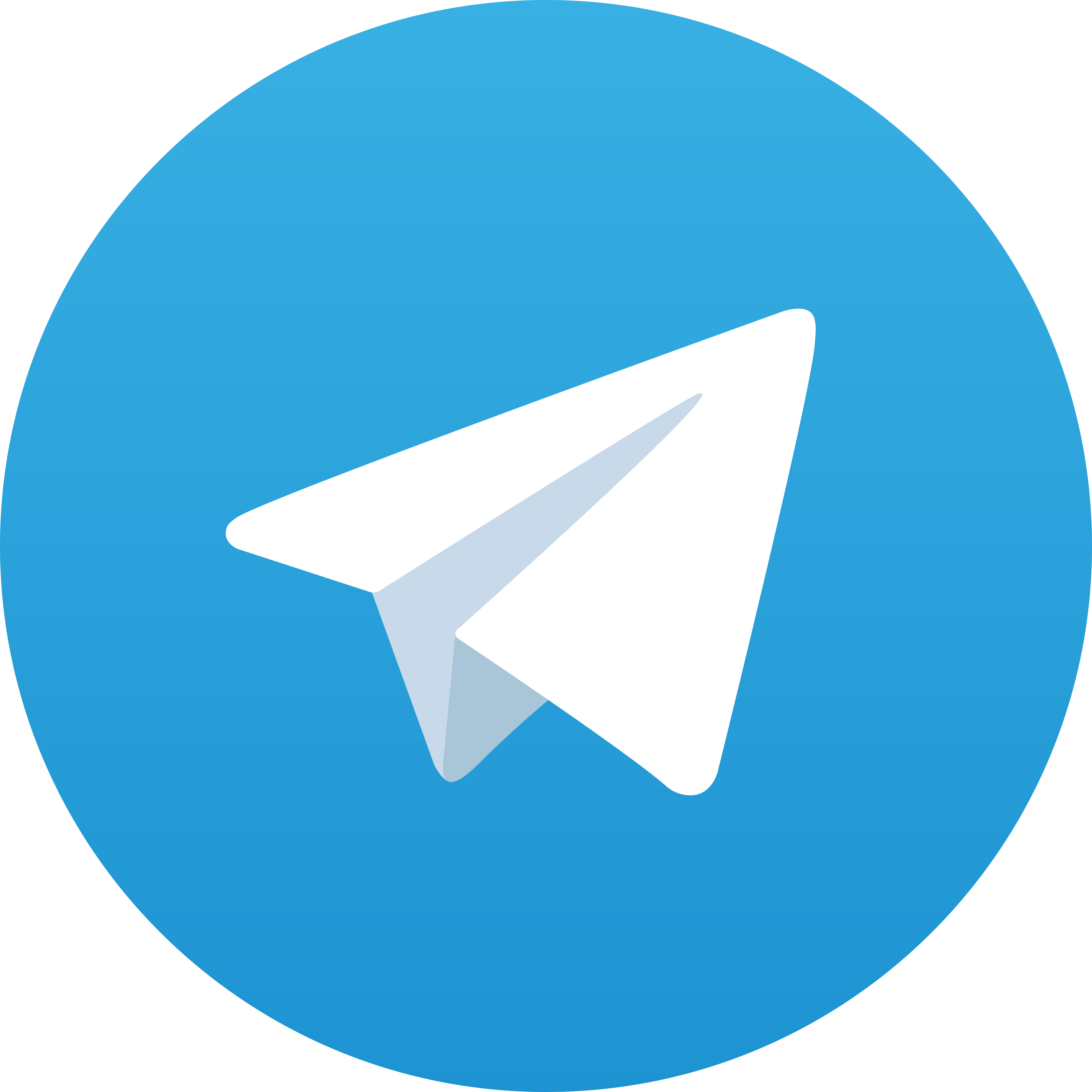 Telegram Rojobet
